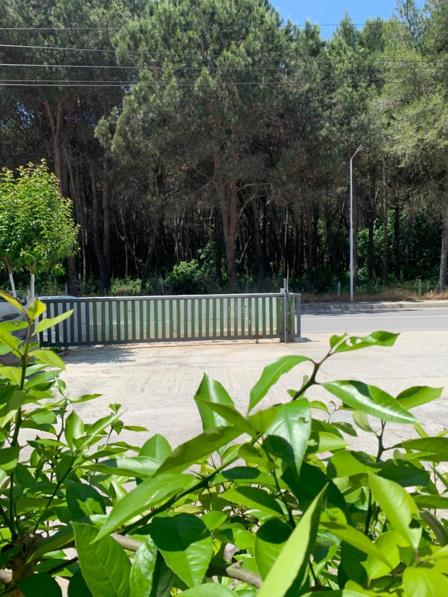 Garden Albania Albergue *